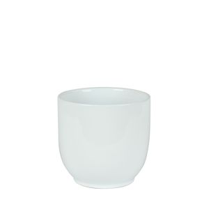 Hortus Cairo Ceramic Pot - Glossy White - Dia16 x H15cm