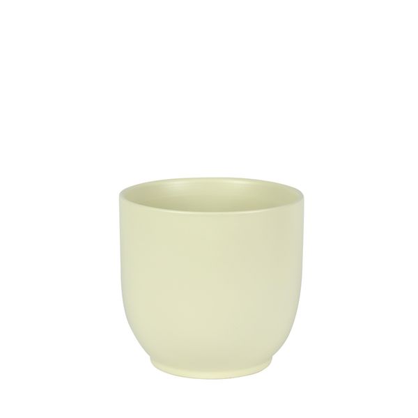 Hortus Cairo Ceramic Pot - Matt Cream - Dia16 x H15cm