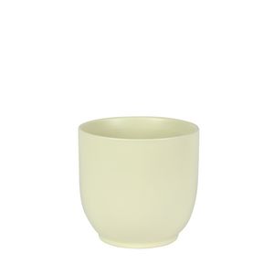 Hortus Cairo Ceramic Pot - Matt Cream - Dia16 x H15cm