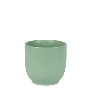 Hortus Cairo Ceramic Pot - Matt Sage- Dia16 x H15cm