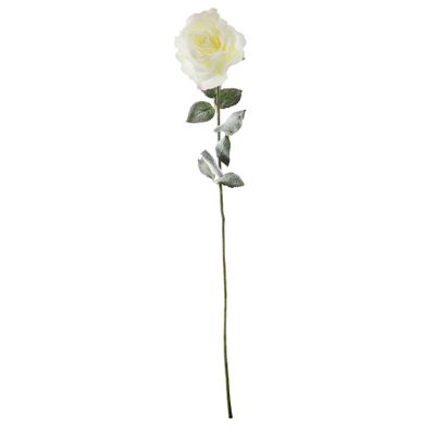 Snowy English Rose - White - 72cm