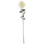 Snowy English Rose - White - 72cm