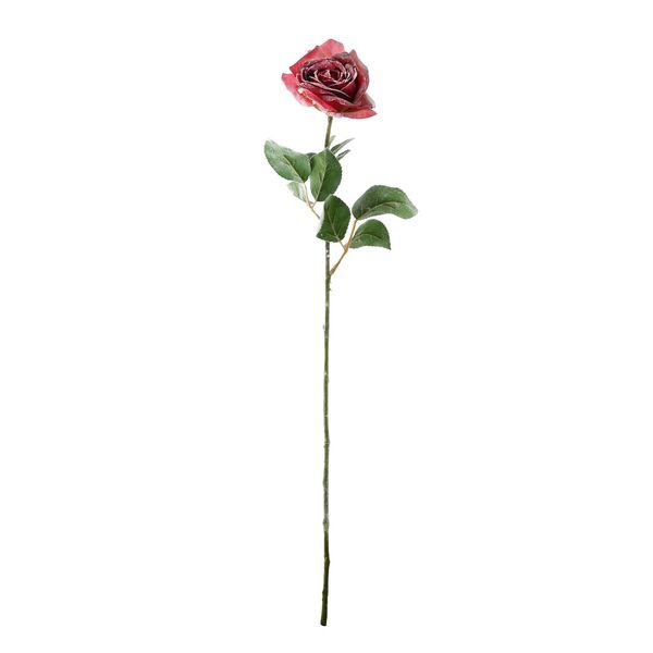 Snowy Rose Single - Fuchsia - 56cm