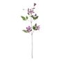 Snowy Clematis - Lavender/White - 78cm