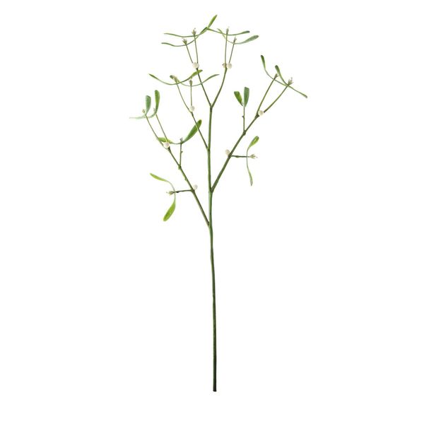 Mistletoe Sprig - Green - 60cm