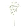 Mistletoe Sprig - Green - 60cm