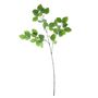 Beech Spray - Green - 97cm