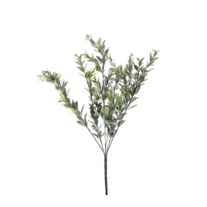 Sparkle Box Bush  - Green - 50cm