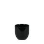 Hortus Cairo Ceramic Pot - Glossy Black - Dia12 x H10cm