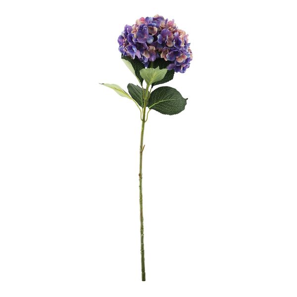 Essential Giant Hydrangea KD - Pink/Purple