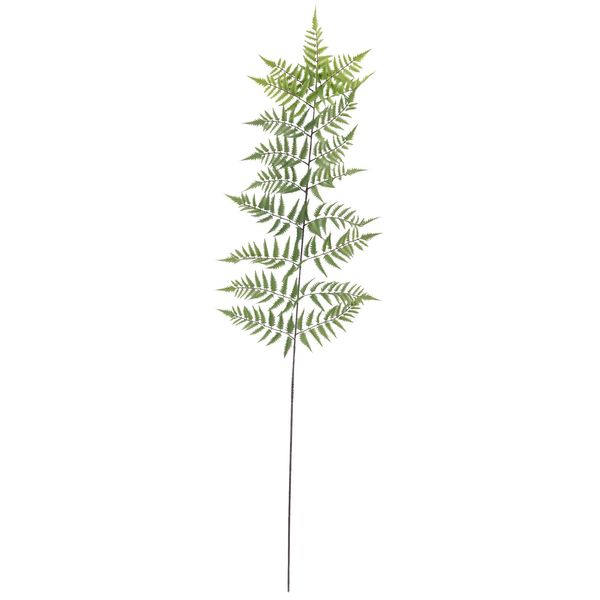 Botanica Tree Fern Leaf - 178cm 