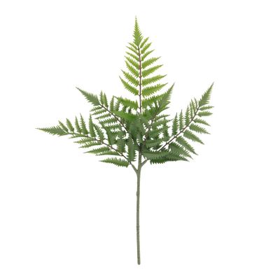 Botanica Fern Leaf - 60cm 