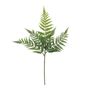 Botanica Fern Leaf - 60cm 