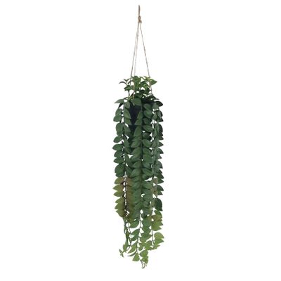 Botanica Hanging Plant - 82cm 