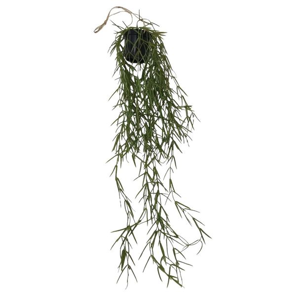 Botanica Trailing Fire Stick Plant - 86cm