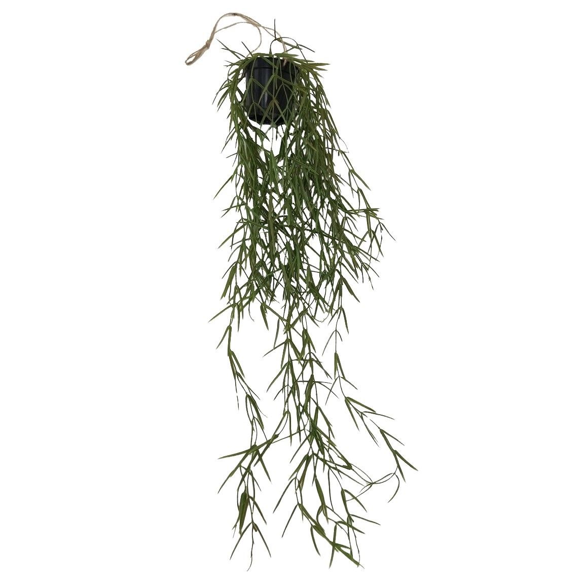 Botanica Trailing Fire Stick Plant - 86cm