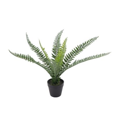 Botanica Fern - 8 Fronds - 35cm