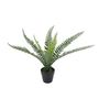 Botanica Fern - 8 Fronds - 35cm