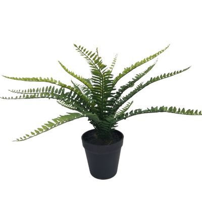 Botanica Fern - 35cm 