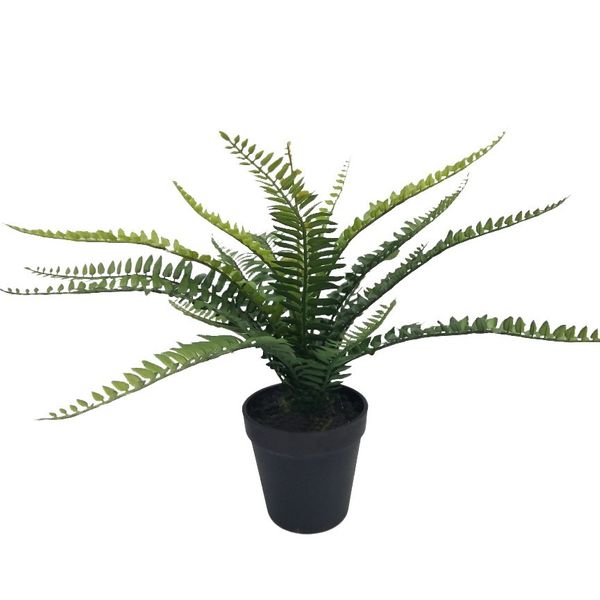 Botanica Fern - 35cm 