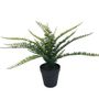 Botanica Fern - 35cm 