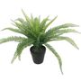 Botanica Fern - 48cm 