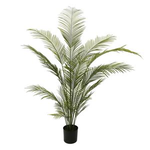 Botanica Areca Palm in Pot - 180cm 