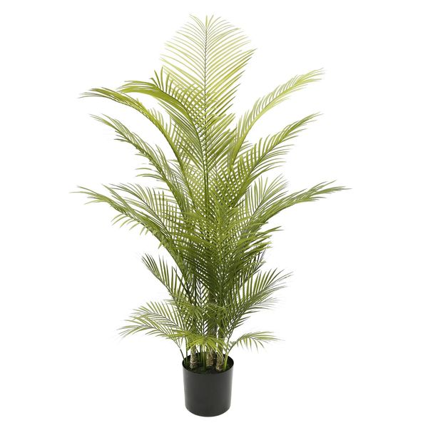 Botanica Areca Palm in Pot - 150cm 