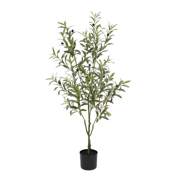 Botanica Olive Tree in pot - 120cm