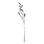 Frosted Pine Cone Branch - Brown / White - 100cm