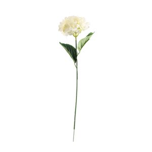 Essential Hydrangea x2 Leaves - Cream