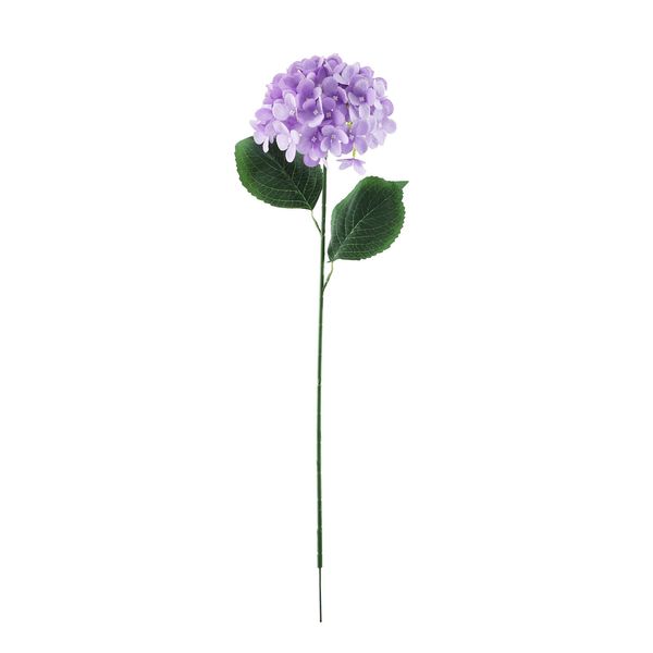 Essential Hydrangea  x2 leaves - Lavender