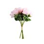 Essential Peony Bouquet -Pink