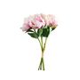 Essential Peony Bouquet - Dusky Pink