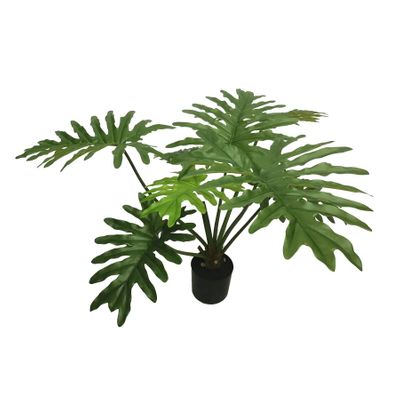 Botanica Philodendron Plant in pot - 90cm 