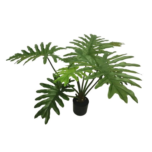 Botanica Philodendron Plant in pot - 90cm 