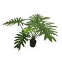 Botanica Philodendron Plant in pot - 90cm 