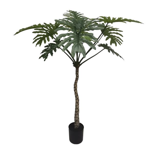 Botanica Philodendron Plant in pot - 160cm 