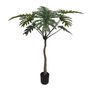 Botanica Philodendron Plant in pot - 160cm 