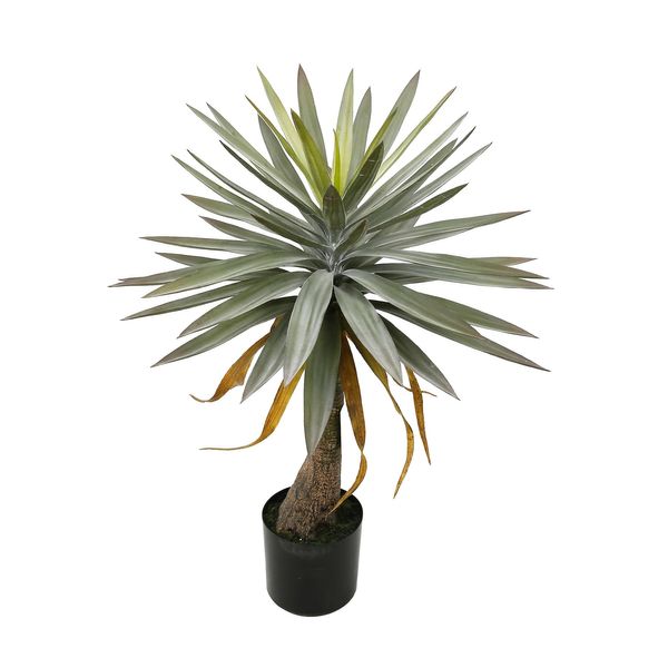 Botanica Yucca in pot - 90cm 