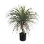 Botanica Yucca in pot - 82cm 