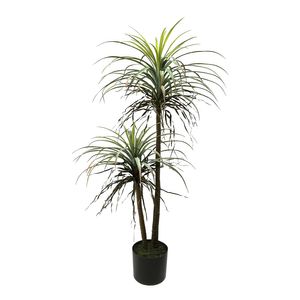 Botanica Yucca in pot - 135cm 