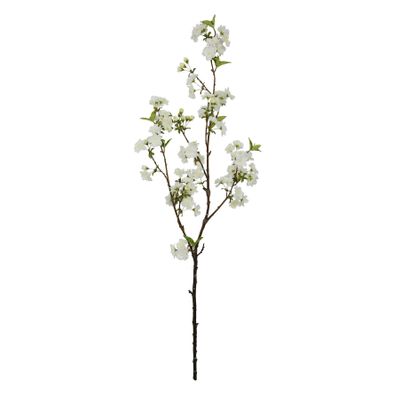 Botanica Cherry Blossom - White - 113cm