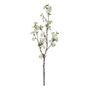 Botanica Cherry Blossom - White - 113cm
