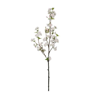Botanica Cherry Blossom - White/Pink - 113cm