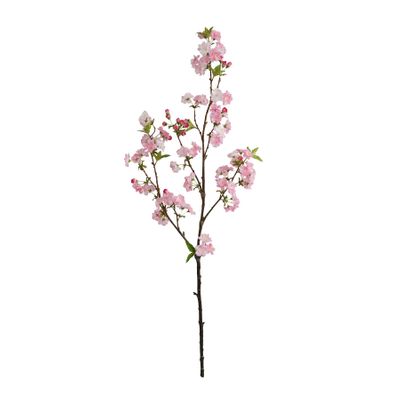 Botanica Cherry Blossom - Pink - 113cm