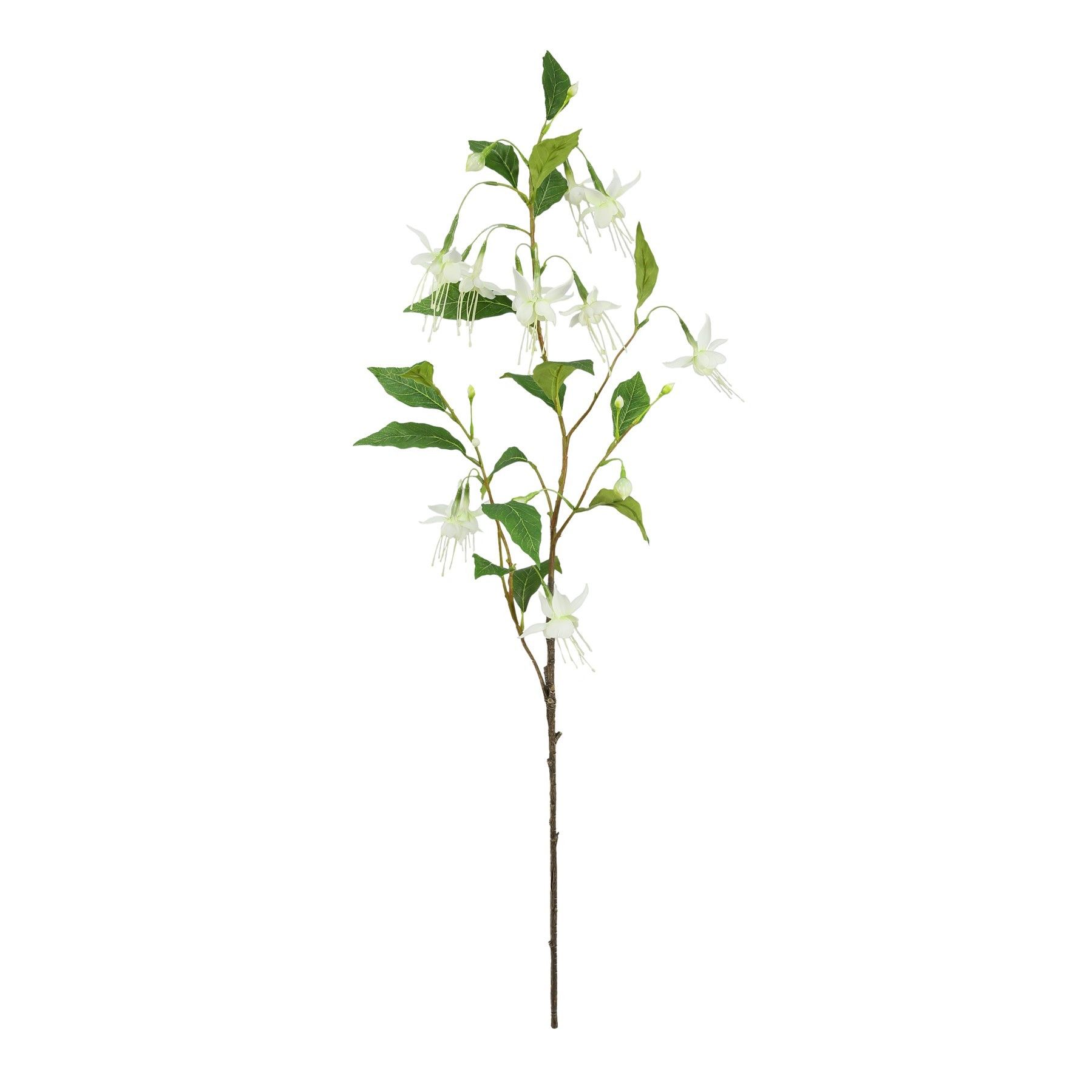 Botanica Fuchsia - White - 99cm