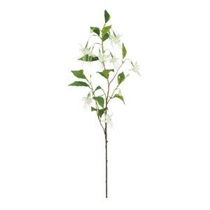 Botanica Fuchsia - White - 99cm