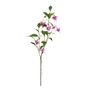 Botanica Fuchsia - Purple - 99cm