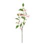 Botanica Fuchsia - Hot Pink - 99cm